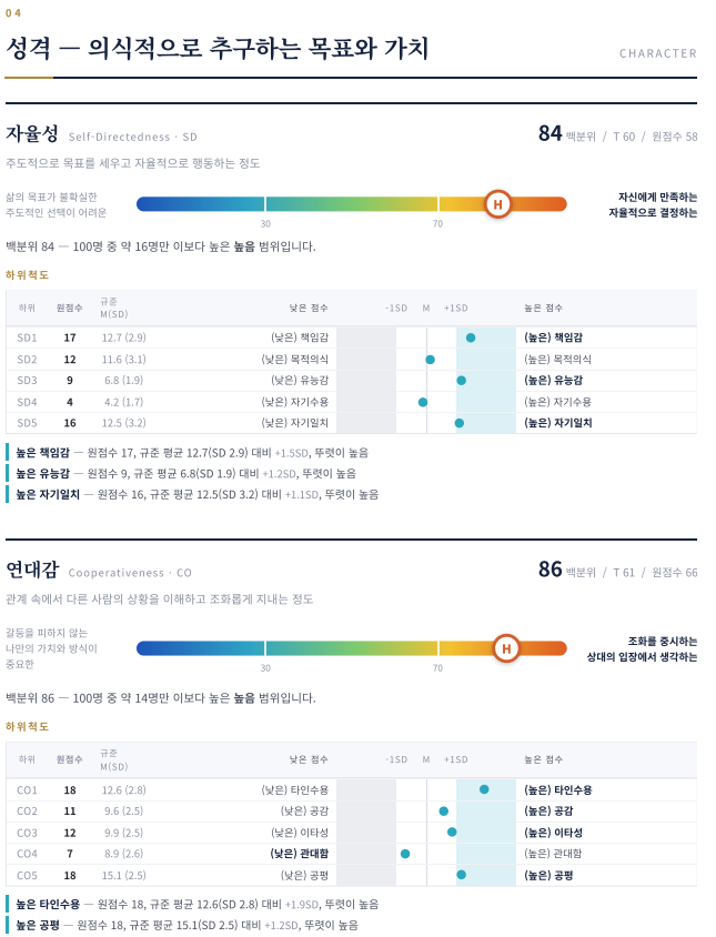 TCI 해석 상담 | 타고난 기질로 나만의 전략 세우기 5 리포트 성격 페이지 예시